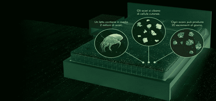 Combattere gli acari della polvere